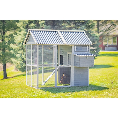 Zylina Walk-In Hen House with PVC Roof, 8 Chicken Capacity