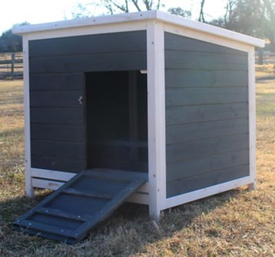 Zylina Nesting and Roosting Box