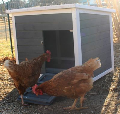 Image showing  2-Compartment Nesting and Roosting Box