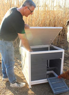 Image showing  2-Compartment Nesting and Roosting Box