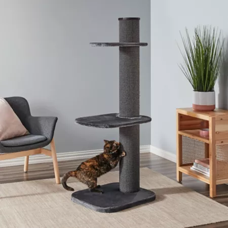 Two by Two 58.3" 3-Tier Maple Cat Tree Dark Gray Cat Trees & Condos