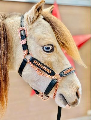 Star Point Horsemanship Leather Miniature Horse Show Halter with Lead, Rhinestone