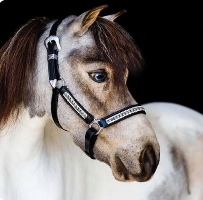 Star Point Horsemanship Miniature Horse Show Halter with Lead, Rhinestone