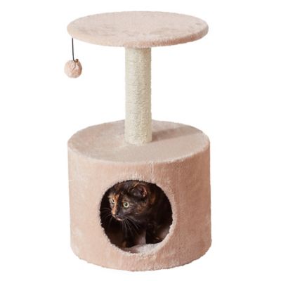 Image showing 9 th Two by Two 23.6 in. Birch Cat Scratching Tree