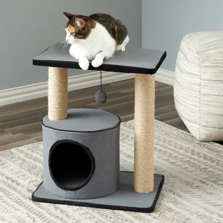 Two by Two 20.9" Cherry Cat Tree Cat Trees & Condos