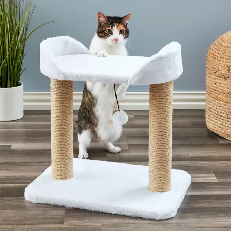 Two by Two 18.5" Basswood Cat Tree Cat Trees & Condos