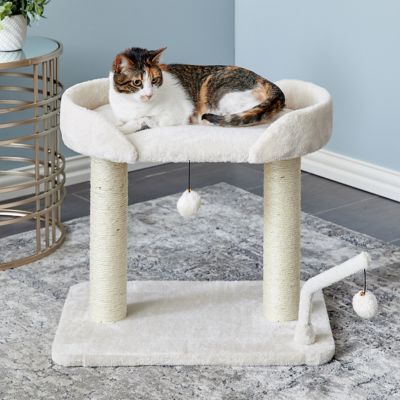 Two by Two 20.7 in. Acacia Cat Scratching Tree
