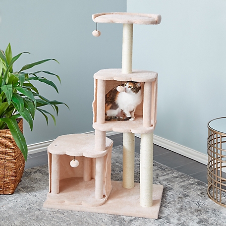 Two by Two 50.6 in. Ash Cat Scratching Tree
