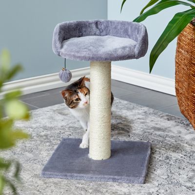 Two by Two 20.5 in. Basswood Cat Scratching Tree