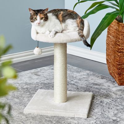 Two by Two 20.5 in. Milkwood Cat Scratching Tree