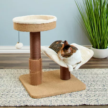 Yaupon 21.9" Two by Two Cat Tree Cat Trees & Condos