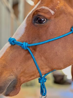 NEW HORSE TACK! Blue Adjustable Rope Halter w/ Rawhide Knots 