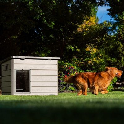 Image showing 8 th Lifetime Deluxe Dog House, Large