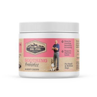 Probiotics for outlet small dogs