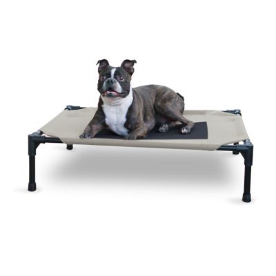 K&H Pet Products Original Pet Cot Elevated Dog Bed Taupe/Black Medium 25 x 32 x 7 Inches Dog bed