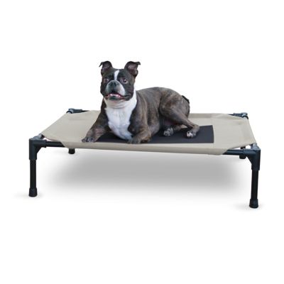 K&H Pet Products Medium Original Elevated Cot Dog Bed, 25 in. x 32 in. x 7 in., Taupe/Black