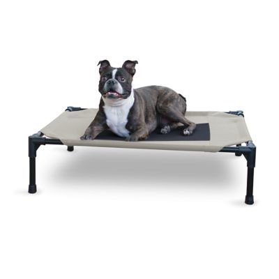 K&H Pet Products Original Elevated Cot Dog Bed, 25 in. x 32 in. x 7 in., Medium, Taupe/Black