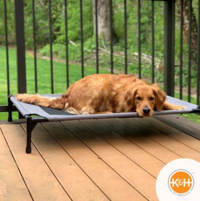 Image showing  Original Elevated Cot Pet Bed