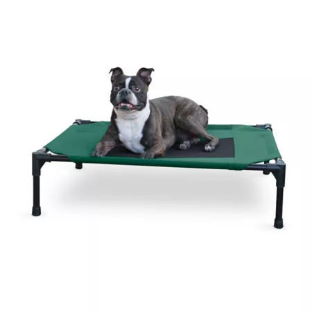 K&H Pet Products Original Raised Pet Bed Medium 100546562 Elevated & Cooling Beds