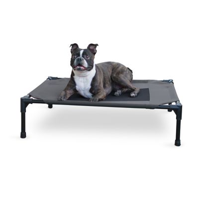 K&H Pet Products Medium Original Elevated Cot Pet Bed, 100546563