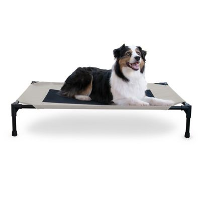 K&H Pet Products Original Elevated Cot Pet Bed, Large, Taupe/Black