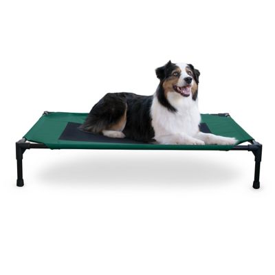 K&H Pet Products Large Original Elevated Cot Pet Bed