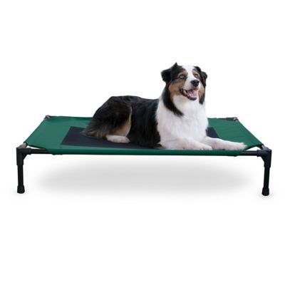 K&H Pet Products Original Elevated Cot Pet Bed, Large