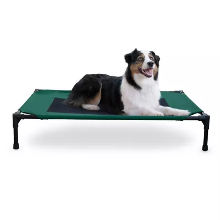 K&H Pet Products Original Raised Pet Bed Large Elevated & Cooling Beds