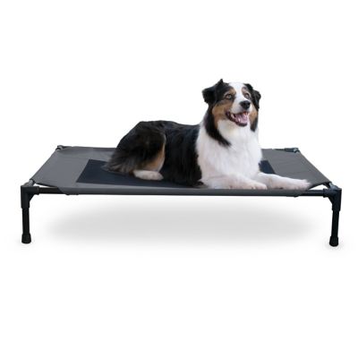 Carlson Portable Rectangular Elevated Dog Bed at Tractor Supply Co