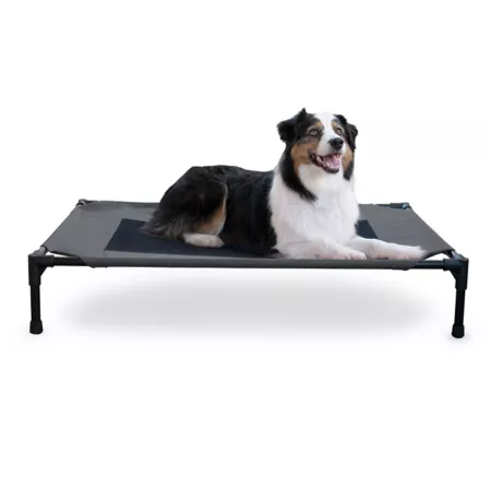 K&H Pet Products Original Raised Pet Bed Large Charcoal/Black Elevated & Cooling Beds