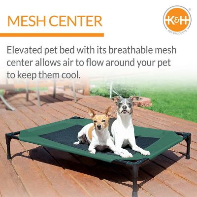 Image showing  Original Elevated Cot Pet Bed