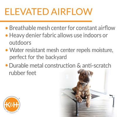 Image showing  Original Elevated Cot Pet Bed