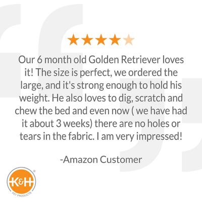 Image showing 6 th K&H Pet Products Original Elevated Cot Pet Bed