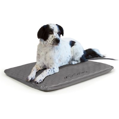 Lectro soft heated pet bed best sale