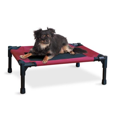 Carlson Portable Rectangular Elevated Dog Bed at Tractor Supply Co