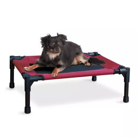 K&H Pet Products Original Raised Pet Bed 100213545 Elevated & Cooling Beds