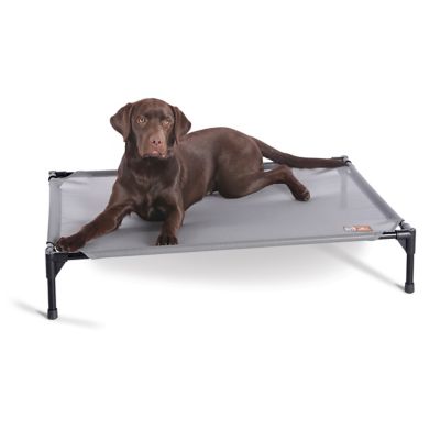 K&H Pet Products All-Weather Pet Cot