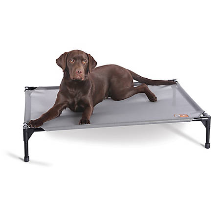 K&H Pet Products All Weather Pet Cot
