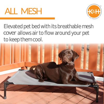 Image showing  All-Weather Pet Cot