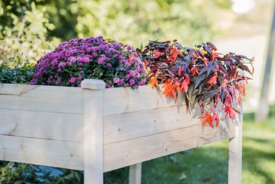 Image showing  Raised Garden Planter with Liner