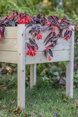 Image showing  Wooden Raised Corner Garden Planter, 22 in. x 22 in. x 26 in., Square