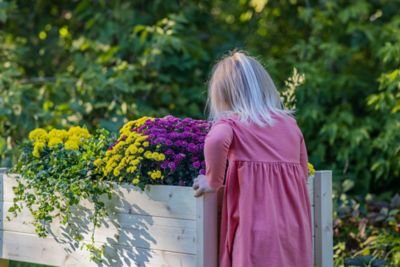 Image showing  Wooden Raised Garden Planter, 38 in. x 24 in. x 22 in., Large