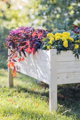 Image showing  Wooden Raised Garden Planter, 47.5 in. x 36 in. x 22 in., Extra Large