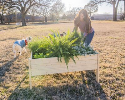 Image showing  Wooden Raised Garden Planter, 47.5 in. x 36 in. x 22 in., Extra Large