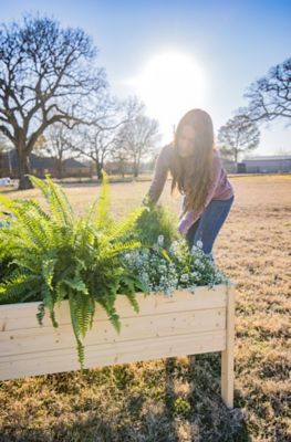 Image showing  Wooden Raised Garden Planter, 47.5 in. x 36 in. x 22 in., Extra Large