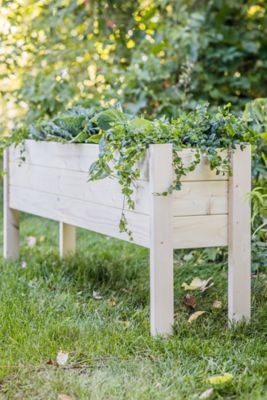 Image showing  Wooden Raised Garden Planter, 60 in. x 12 in. x 22 in., Extra Long