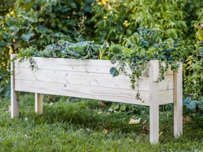 Image showing 7 th Zylina Wooden Raised Garden Planter, 60 in. x 12 in. x 22 in., Extra Long