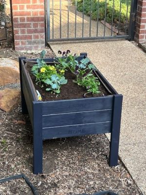 Image showing 8 th Zylina Wooden Raised Garden Planter, 60 in. x 12 in. x 22 in., Extra Long