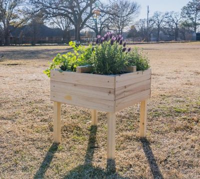 Zylina Raised Garden Planter with 4-Way Divider