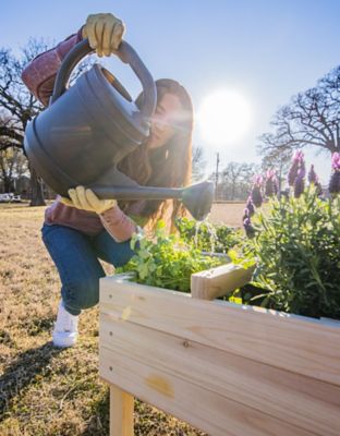 Image showing  Wooden Raised Garden Planter with 4-Way Divider, 18.5 in. x 18.5 in. x 20 in.